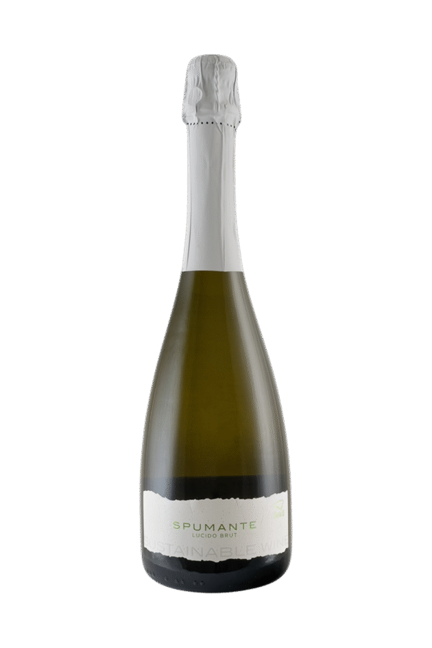 Lucido Brut
