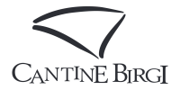 birgi-vini-logo - Έγινε επεξεργασία